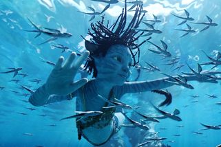 Třetí Avatar přepisuje české historické tabulky. Přesto jeho tržby zklamaly